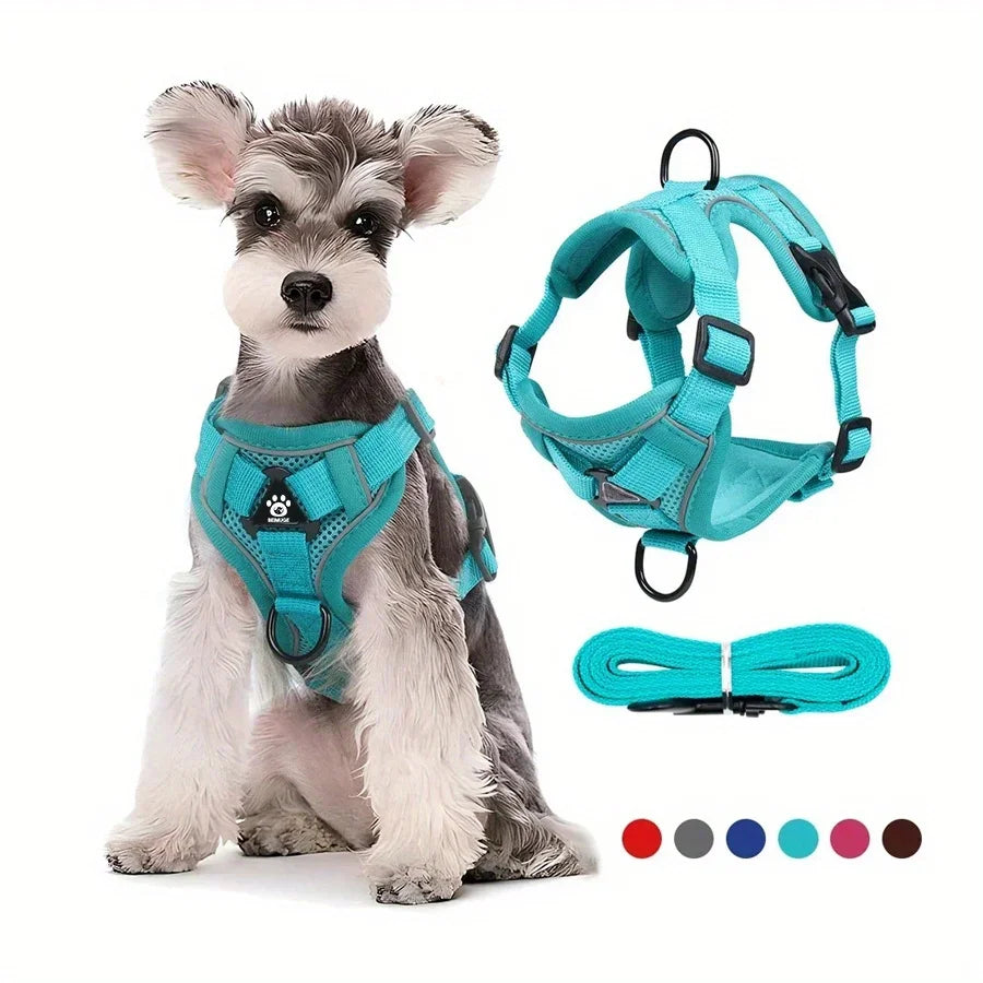 Dog Halter Accessories: Adjustable, Reflective, No Pull Dog Harness Vest and Leash Set for Small Dogs / Rungear