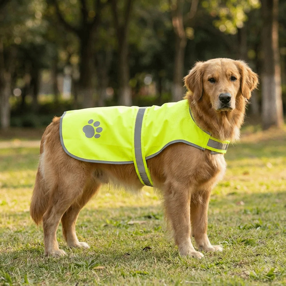 Reflective Comfortable Breathable Adjustable Dog Safety Vest Visibility Jacket