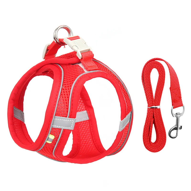 Adjustable Dog Harness Leash Set for Small Dogs