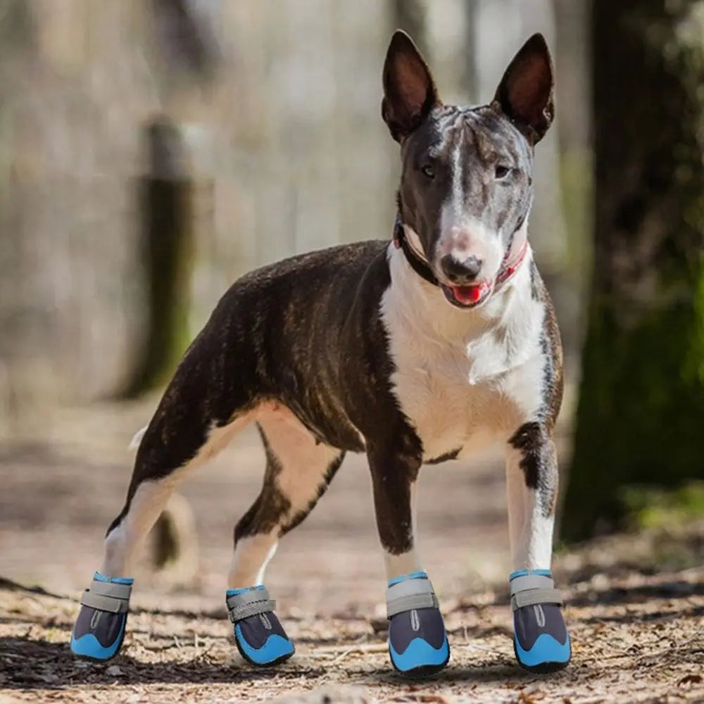 Dog Boots Accessories: 4 Pc Waterproof, Breathable, Anti-Slip, Comfortable Dog Boots With Adjustable Strap / Rungear