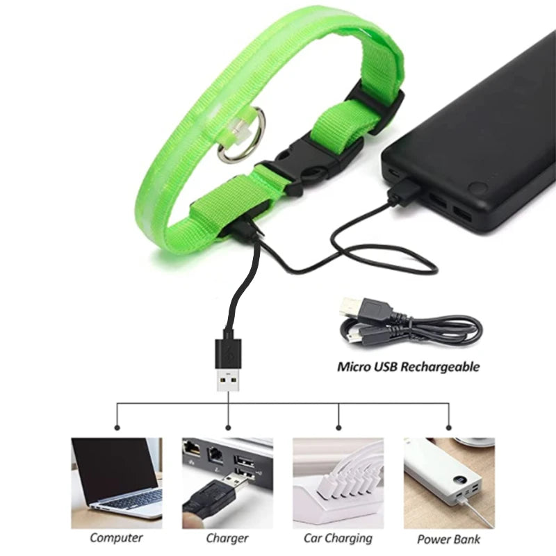 Pet Safety Gear: USB, Adjustable LED Rechargeable Safety Collar For Large Small Dogs / Rungear