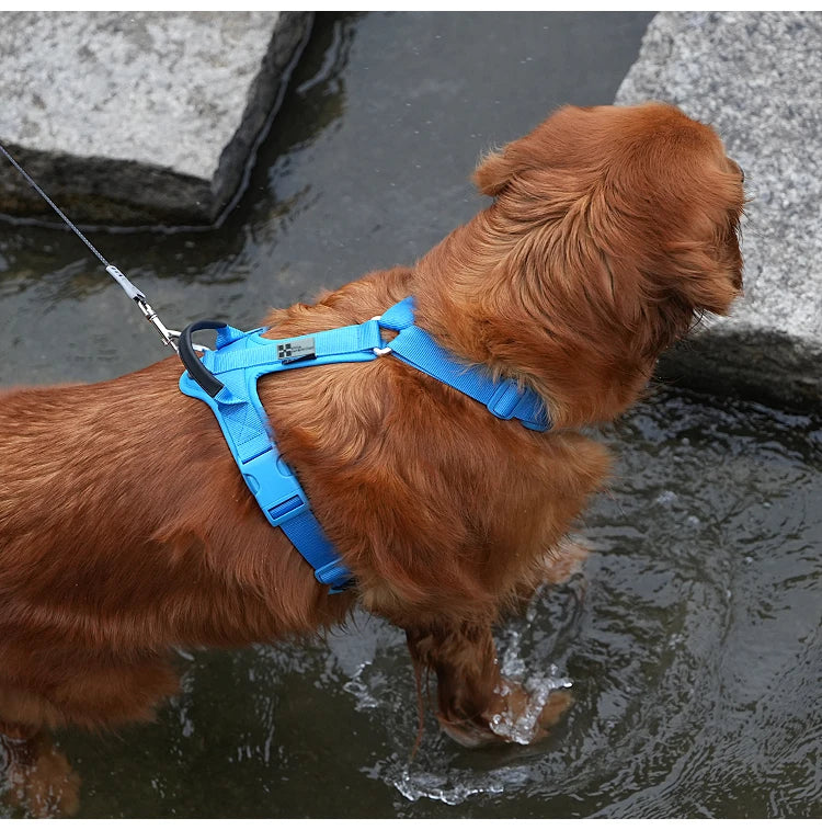 Dog Gear Accessories: SMALL COMBINATION No Pull, Nylon, Adjustable, Reflective, Comfortable, Dog Control Harness / Rungear