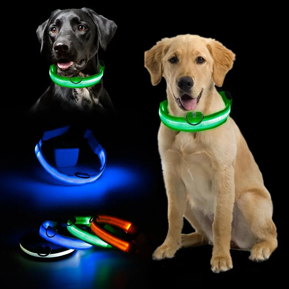 LED Glowing Dog Collar Adjustable Flashing Rechargea Luminous Collar Night Anti-Lost Dog Light HarnessFor Small Dog Pet Products