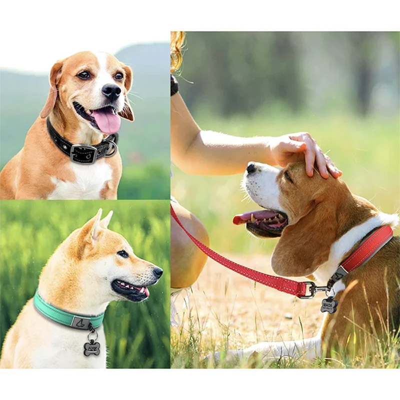 Reflective Dog Collars: Reflective, Adjustable, Heavy Duty Nylon Neoprene, Wide Padded Dog Collars for Small, Medium, Large Dogs / Rungear