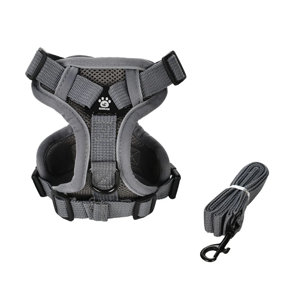 Reflective Running Dog Gear: Adjustable Harness Vest And Leash Set For Small To Medium Dogs / Rungear NZ