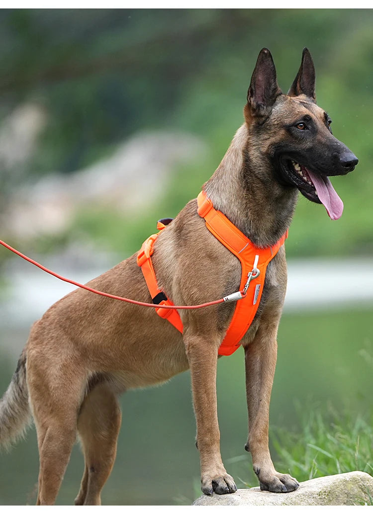 Dog Gear Accessories: SMALL COMBINATION No Pull, Nylon, Adjustable, Reflective, Comfortable, Dog Control Harness / Rungear