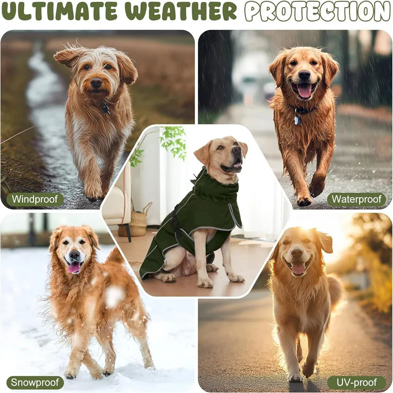 Reflective Dog Gear: Waterproof, Outdoors Raincoat Windbreaker for All Dog Sizes With Reflective Strip, Adjustable Straps & Snap Button / Rungear