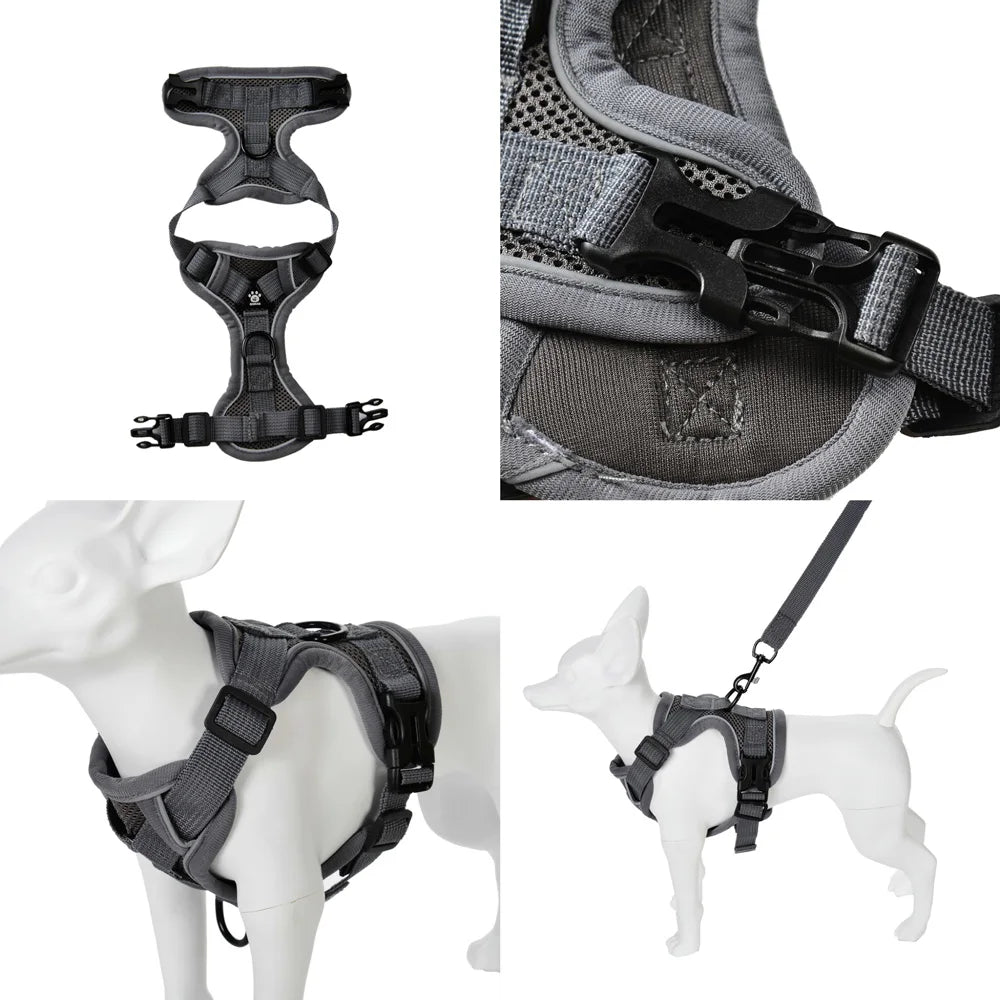 Reflective Running Dog Gear: Adjustable Harness Vest And Leash Set For Small To Medium Dogs / Rungear NZ