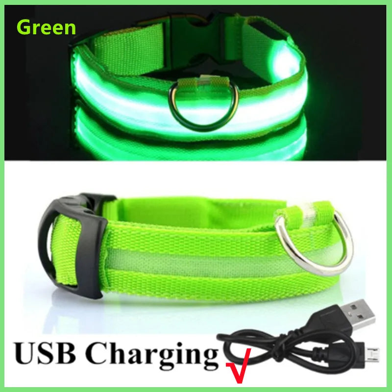 Pet Safety Gear: USB, Adjustable LED Rechargeable Safety Collar For Large Small Dogs / Rungear