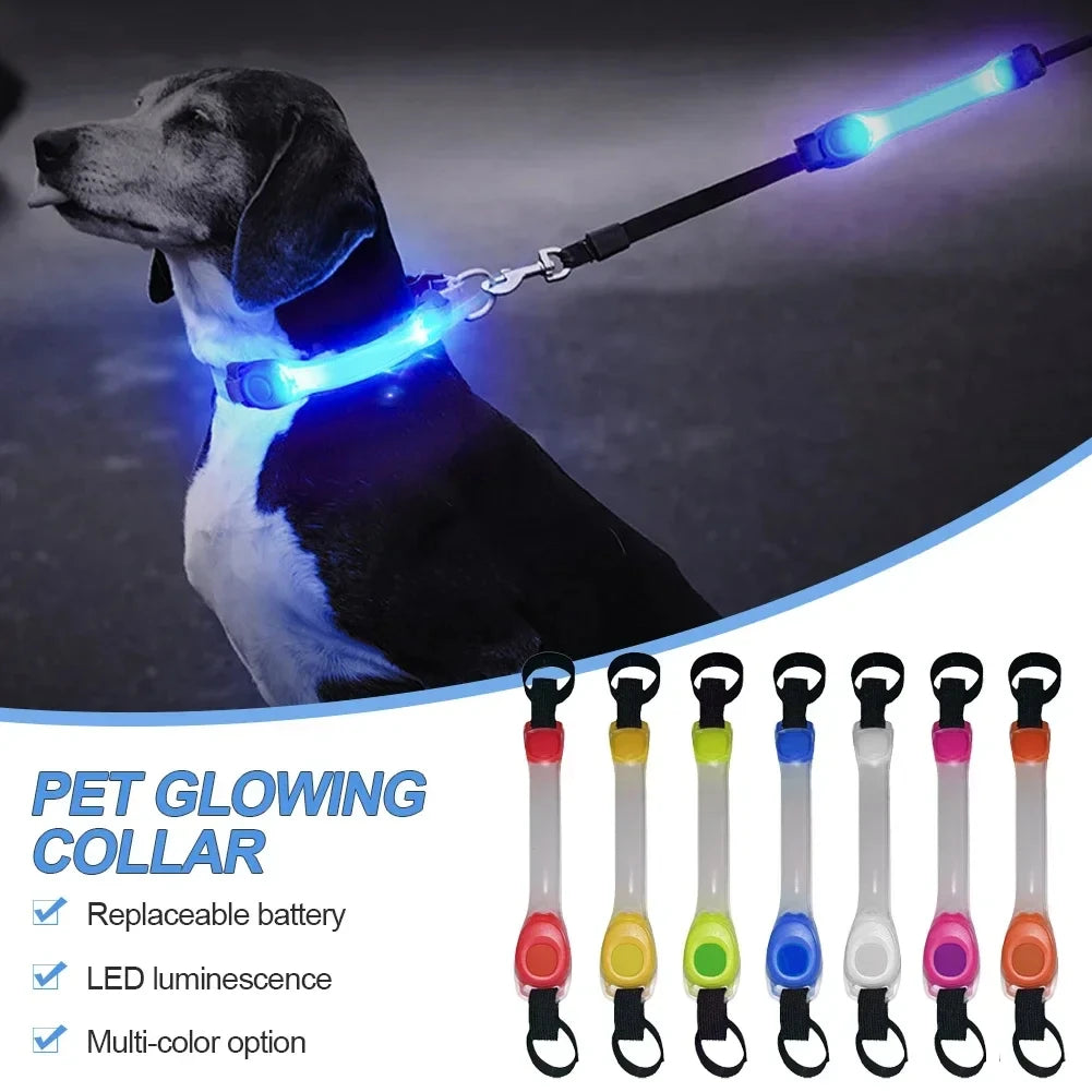 Dog LED Accessories: Night Running, Safety, Multi-Colour, Waterproof, Dog Safety Harness Flashing Collar Pendant / Rungear