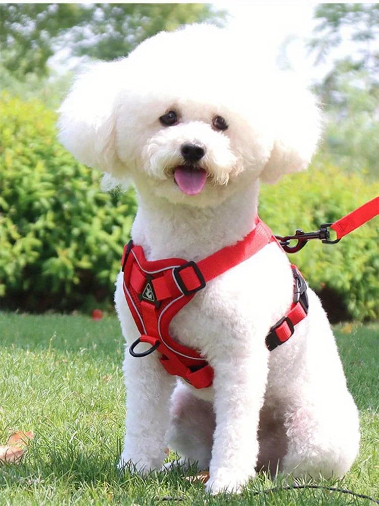 Dog Halter Accessories: Adjustable, Reflective, No Pull Dog Harness Vest and Leash Set for Small Dogs / Rungear