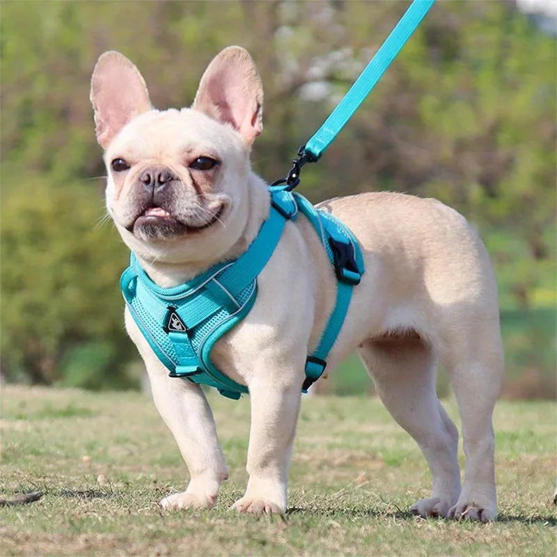 Dog Halter Accessories: Adjustable, Reflective, No Pull Dog Harness Vest and Leash Set for Small Dogs / Rungear