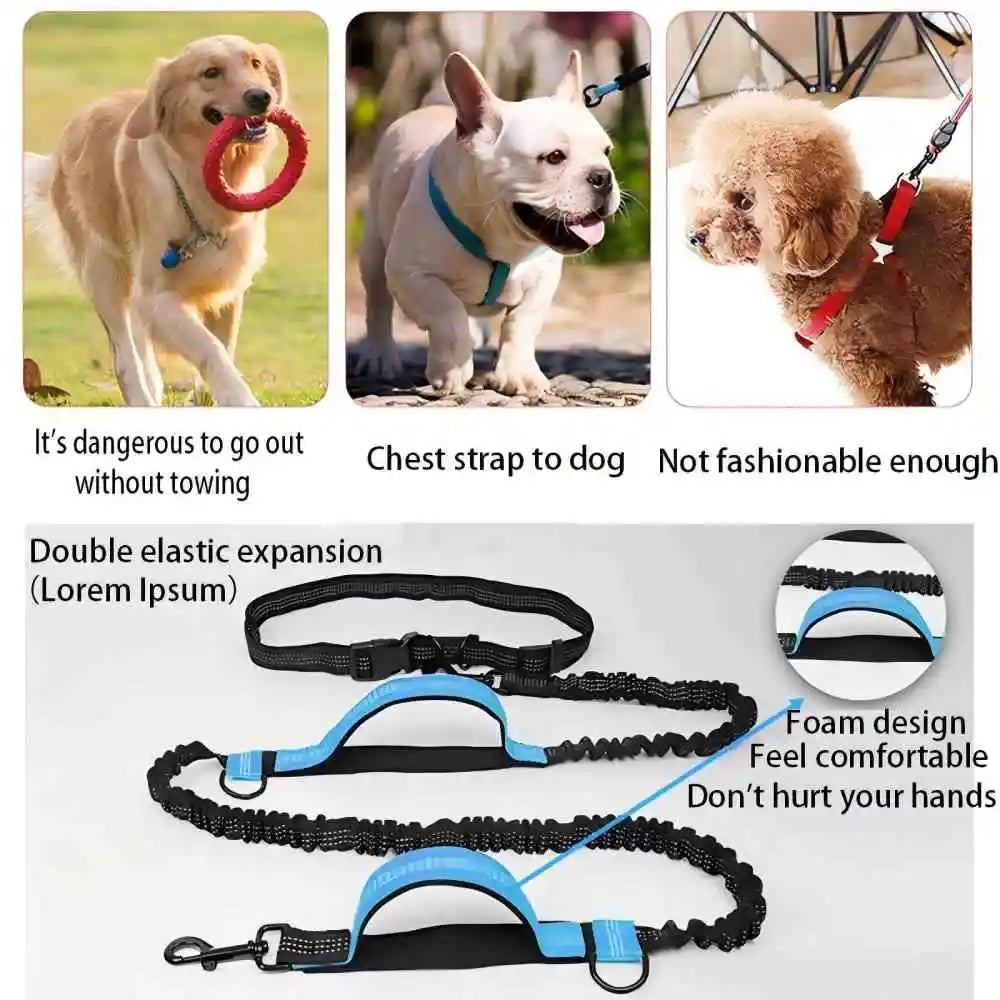 Dog Gear Accessories: Reflective, Hands Free, Retractable Belt Dog Leash with Adjustable Waist Rope For Outdoor Running / Rungear