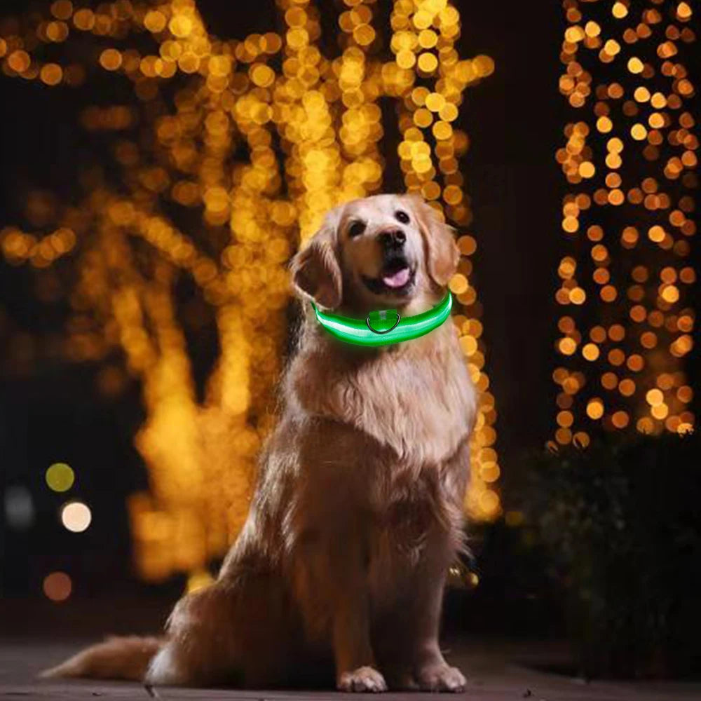 LED Glowing Dog Collar Adjustable Flashing Rechargea Luminous Collar Night Anti-Lost Dog Light HarnessFor Small Dog Pet Products