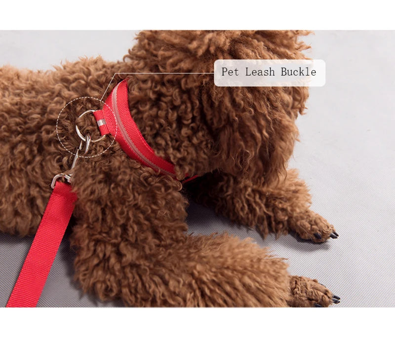 LED Light Night Safety Anti-Lost Nylon Adjustable Collar For Dogs