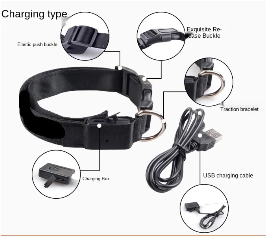 Pet Safety Gear: USB, Adjustable LED Rechargeable Safety Collar For Large Small Dogs / Rungear