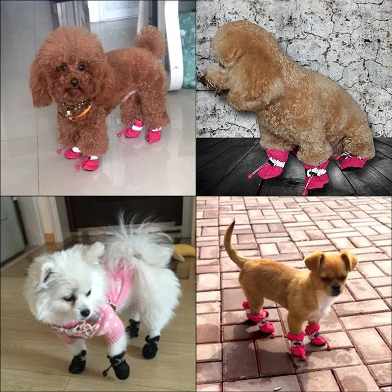 Pet Gear Accessories: 4PC Small, Waterproof, Anti-Slip, Thick, Warm Pet Dog Shoes for Rain, Snow / Rungear