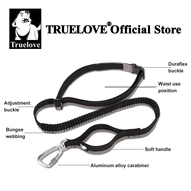 NEW Pet Hands-Free Reflective Stitching Bungee Leash For Medium to Large Dogs With Carabiner