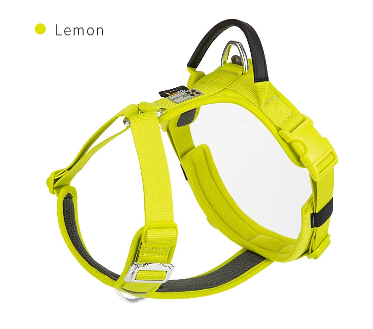 Dog Gear Accessories: SMALL COMBINATION No Pull, Nylon, Adjustable, Reflective, Comfortable, Dog Control Harness / Rungear