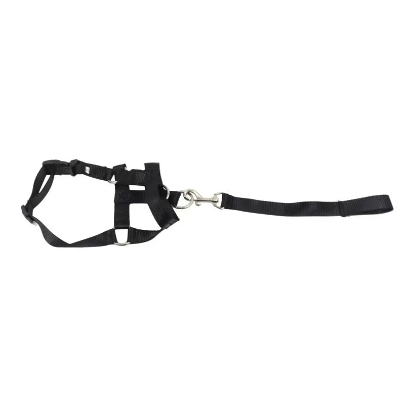 Running Dog Accessories: Adjustable Classic Muzzle Training Halter, Dog Collar With Dog Leash / Rungear