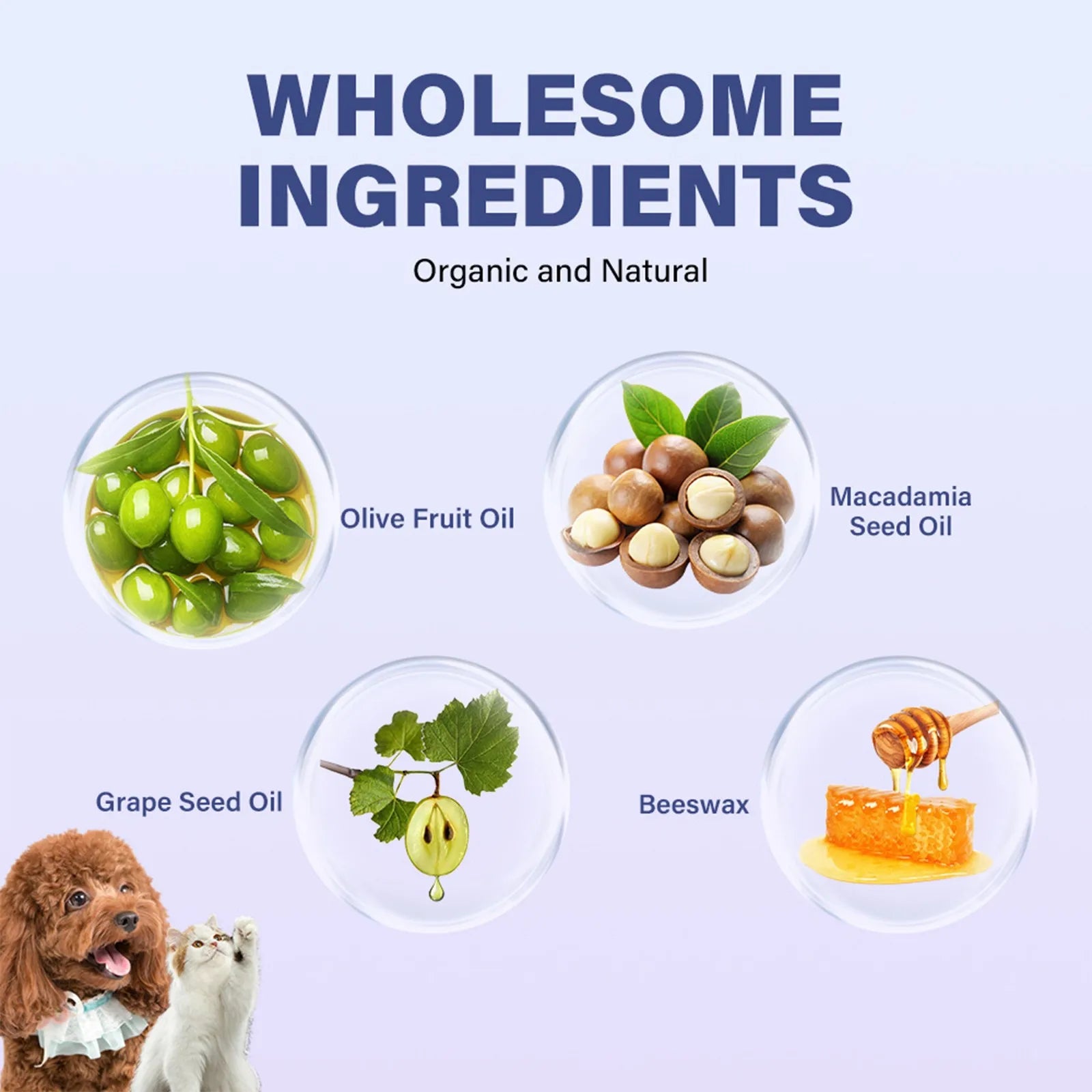 1PCS Moisturizing Natural Nose And Paw Protection Repair Balm Wax For Dogs And Cats