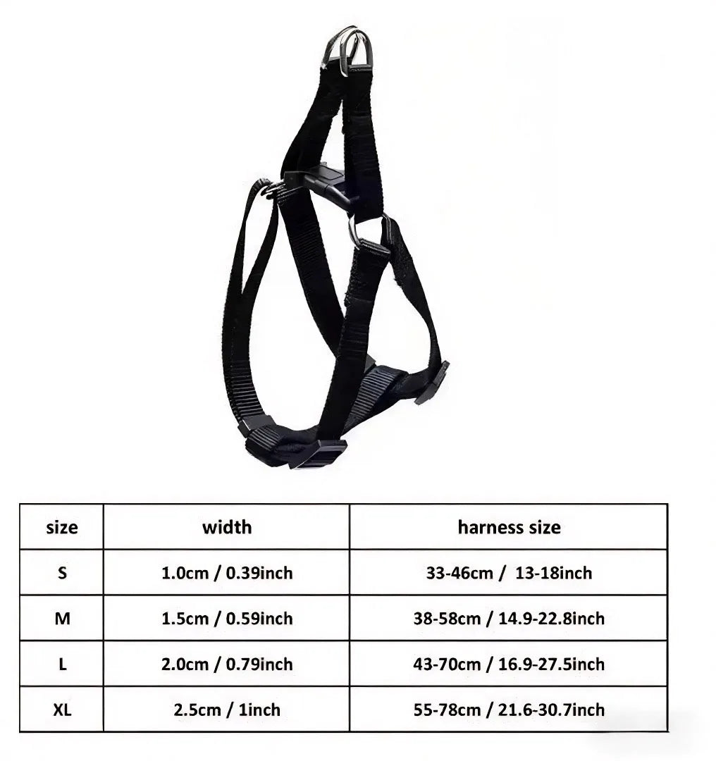 Running Dog Accessories: Adjustable Classic Muzzle Training Halter, Dog Collar With Dog Leash / Rungear