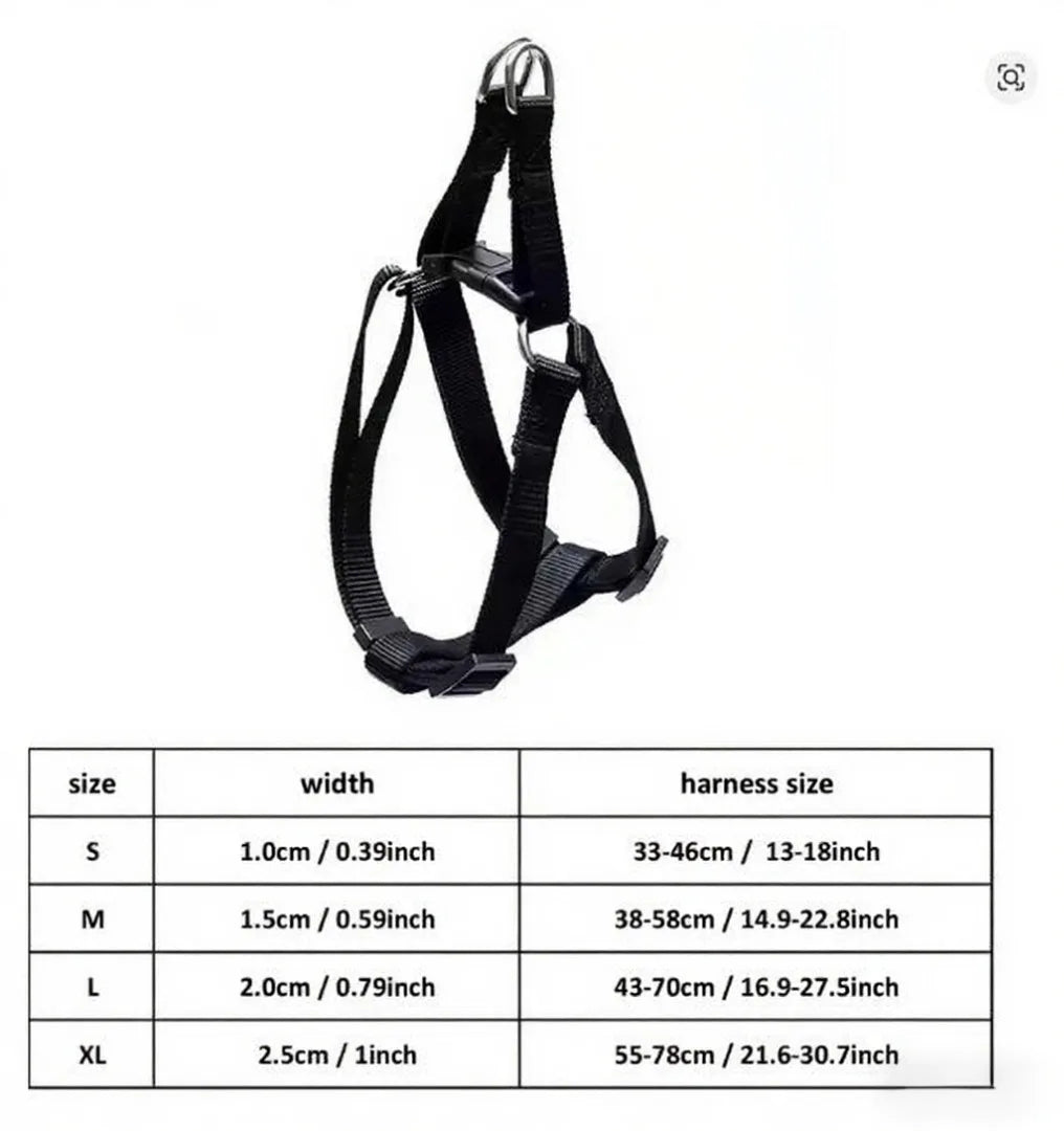 Running Dog Accessories: Adjustable Classic Muzzle Training Halter, Dog Collar With Dog Leash / Rungear