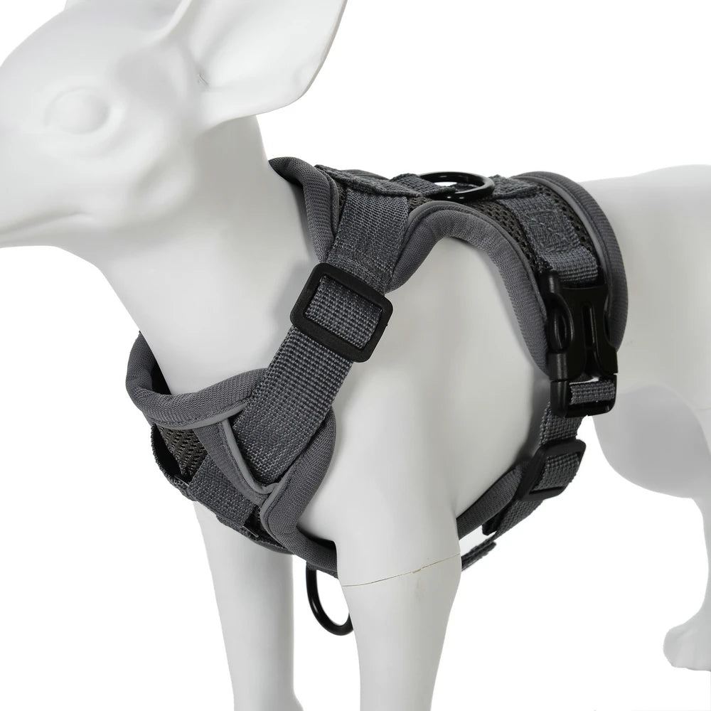 Reflective Running Dog Gear: Adjustable Harness Vest And Leash Set For Small To Medium Dogs / Rungear NZ