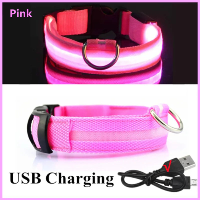 Pet Safety Gear: USB, Adjustable LED Rechargeable Safety Collar For Large Small Dogs / Rungear