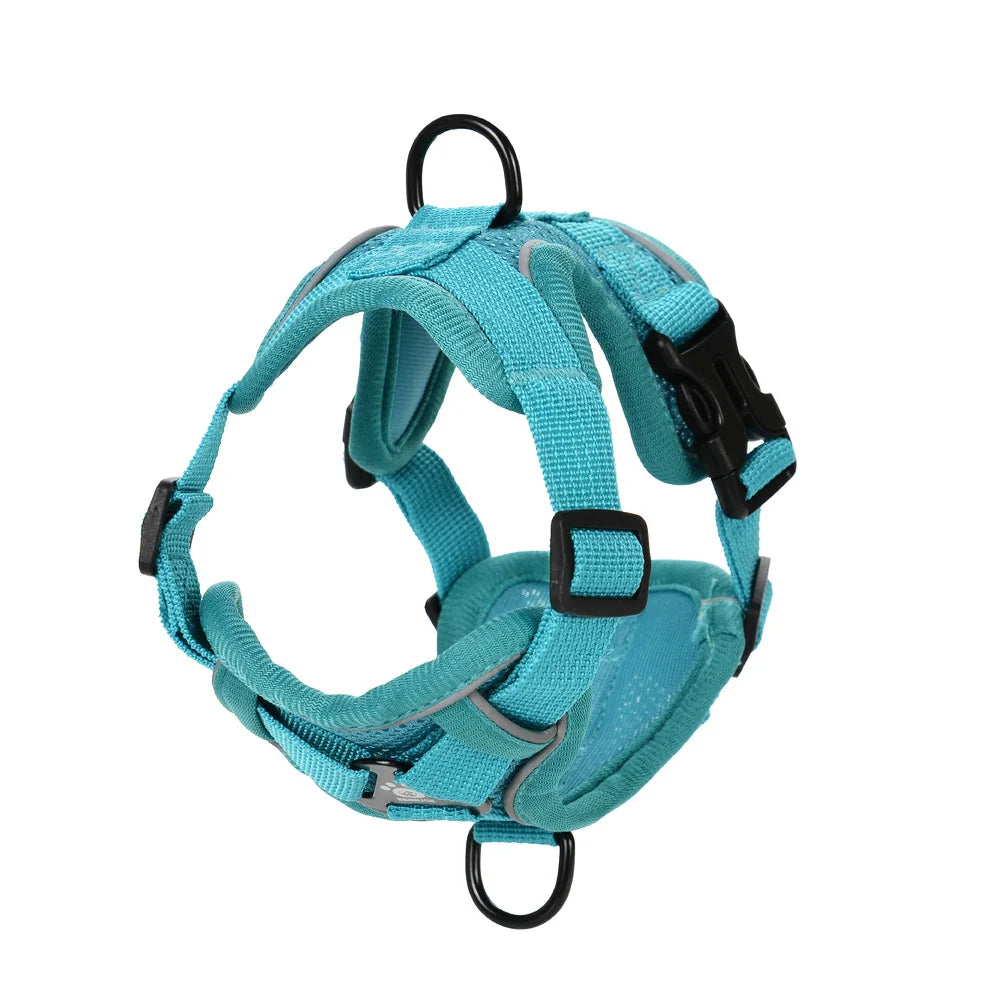 Reflective Running Dog Gear: Adjustable Harness Vest And Leash Set For Small To Medium Dogs / Rungear NZ