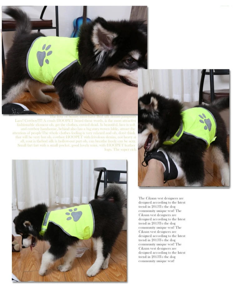 Reflective Dog Gear: Breathable, Safety Outdoor Walking Running Vests For Small, Medium, Large Dogs / Rungear