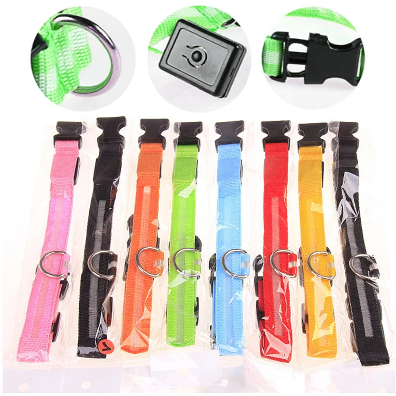 Pet Safety Gear: USB, Adjustable LED Rechargeable Safety Collar For Large Small Dogs / Rungear