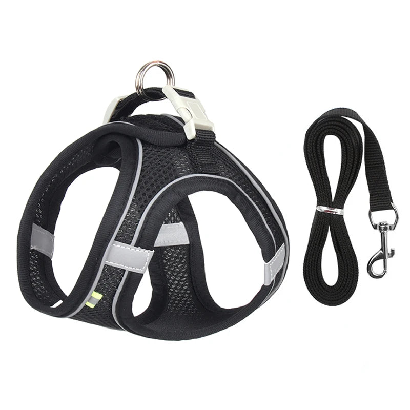 Adjustable Dog Harness Leash Set for Small Dogs