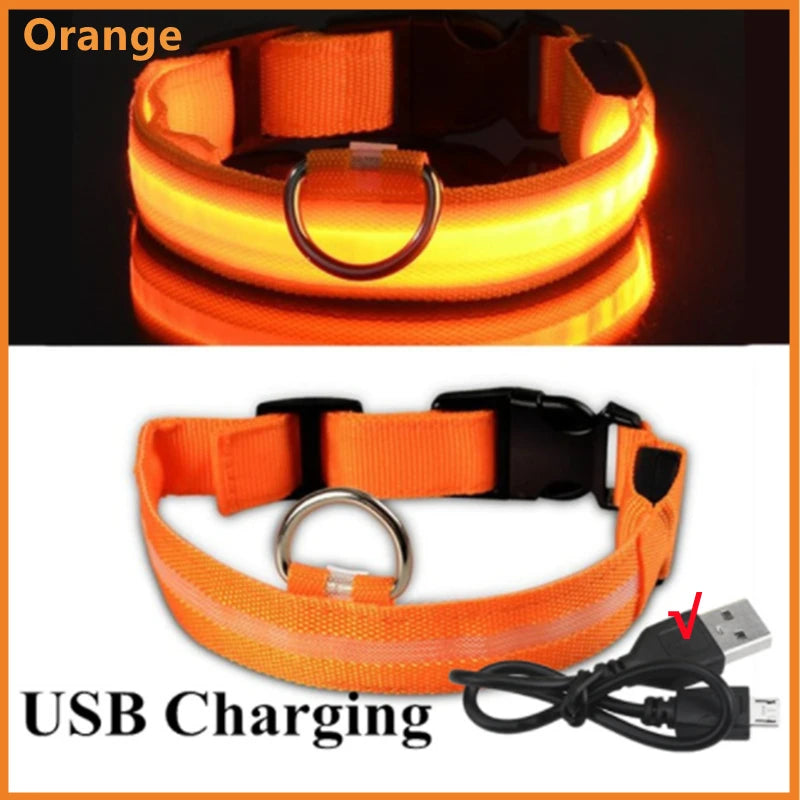 Pet Safety Gear: USB, Adjustable LED Rechargeable Safety Collar For Large Small Dogs / Rungear