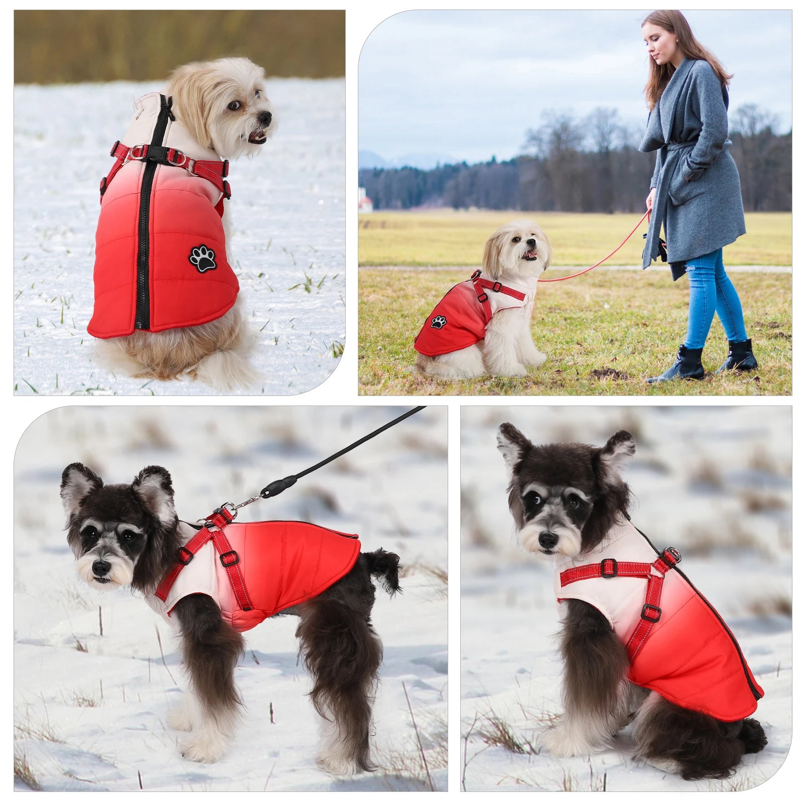 Dog Jacket Accessories: Winter Warm, Reflective, Windproof Harness With Back Zipper / Rungear