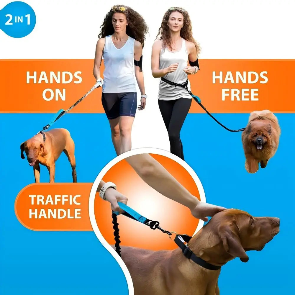 Dog Gear Accessories: Reflective, Hands Free, Retractable Belt Dog Leash with Adjustable Waist Rope For Outdoor Running / Rungear