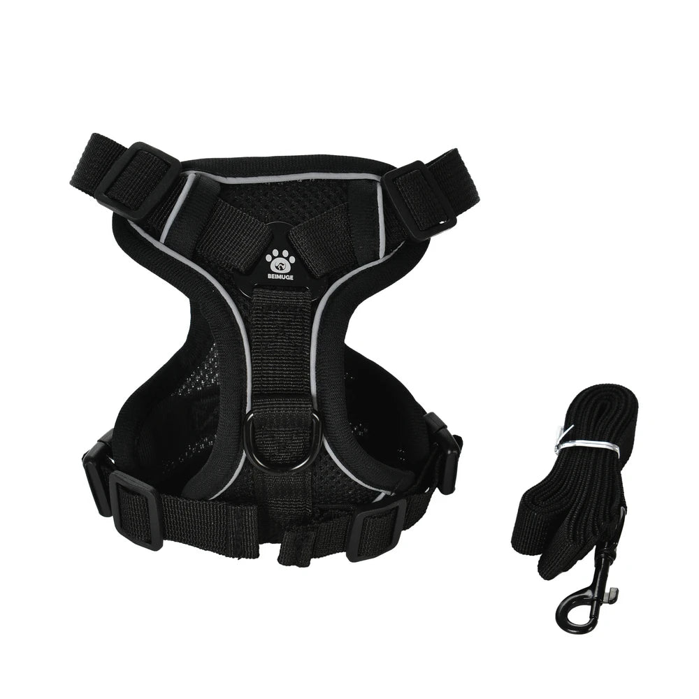 Reflective Running Dog Gear: Adjustable Harness Vest And Leash Set For Small To Medium Dogs / Rungear NZ