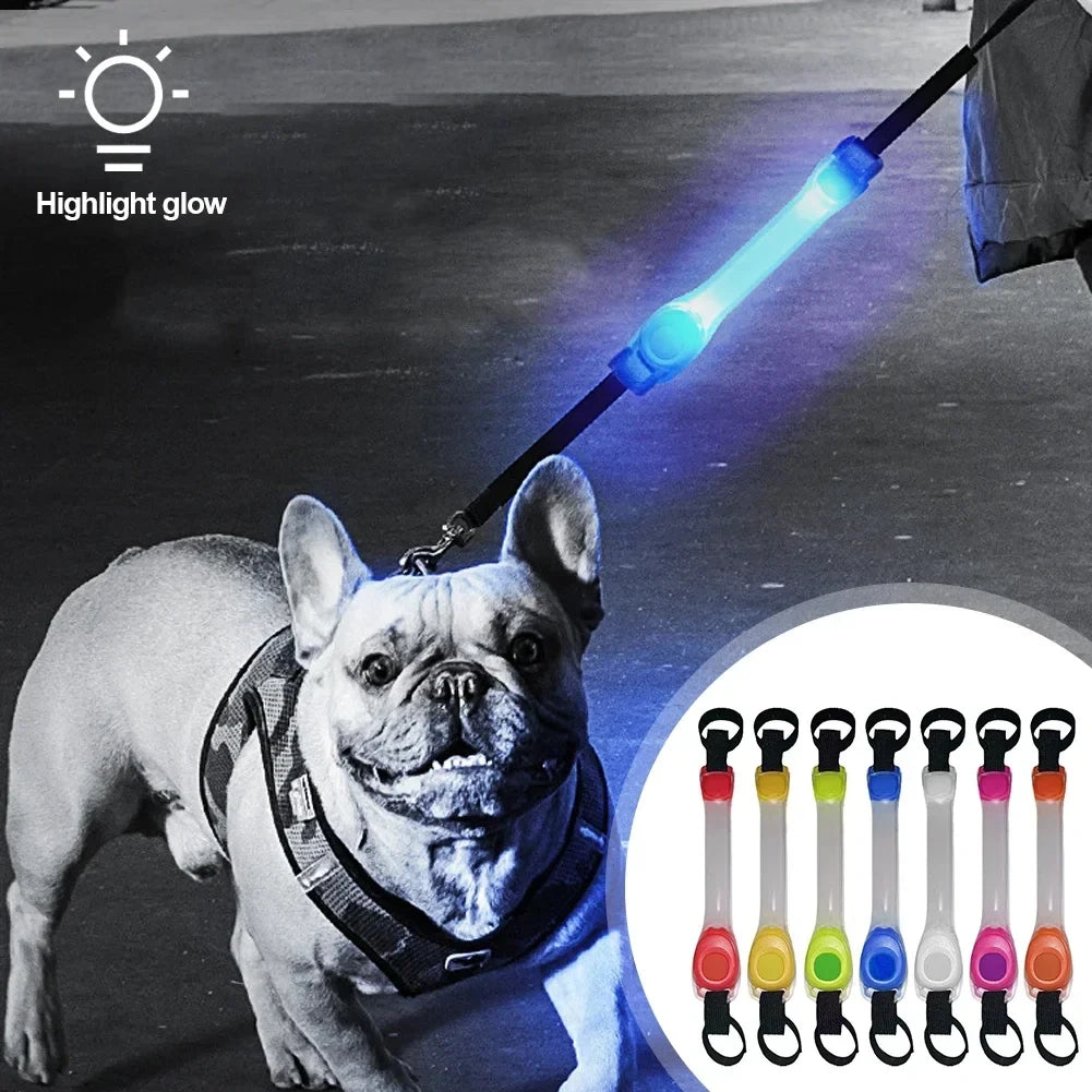 Dog LED Accessories: Night Running, Safety, Multi-Colour, Waterproof, Dog Safety Harness Flashing Collar Pendant / Rungear