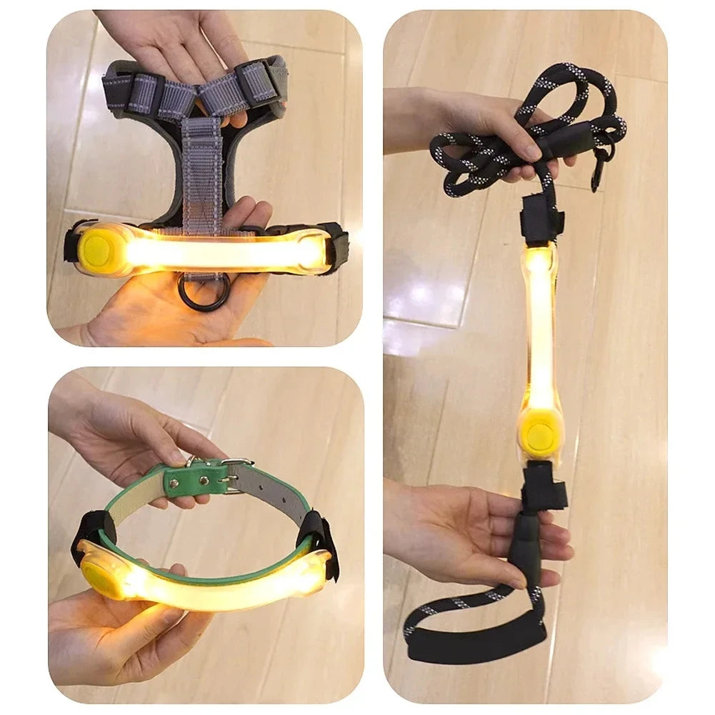 Dog LED Accessories: Night Running, Safety, Multi-Colour, Waterproof, Dog Safety Harness Flashing Collar Pendant / Rungear