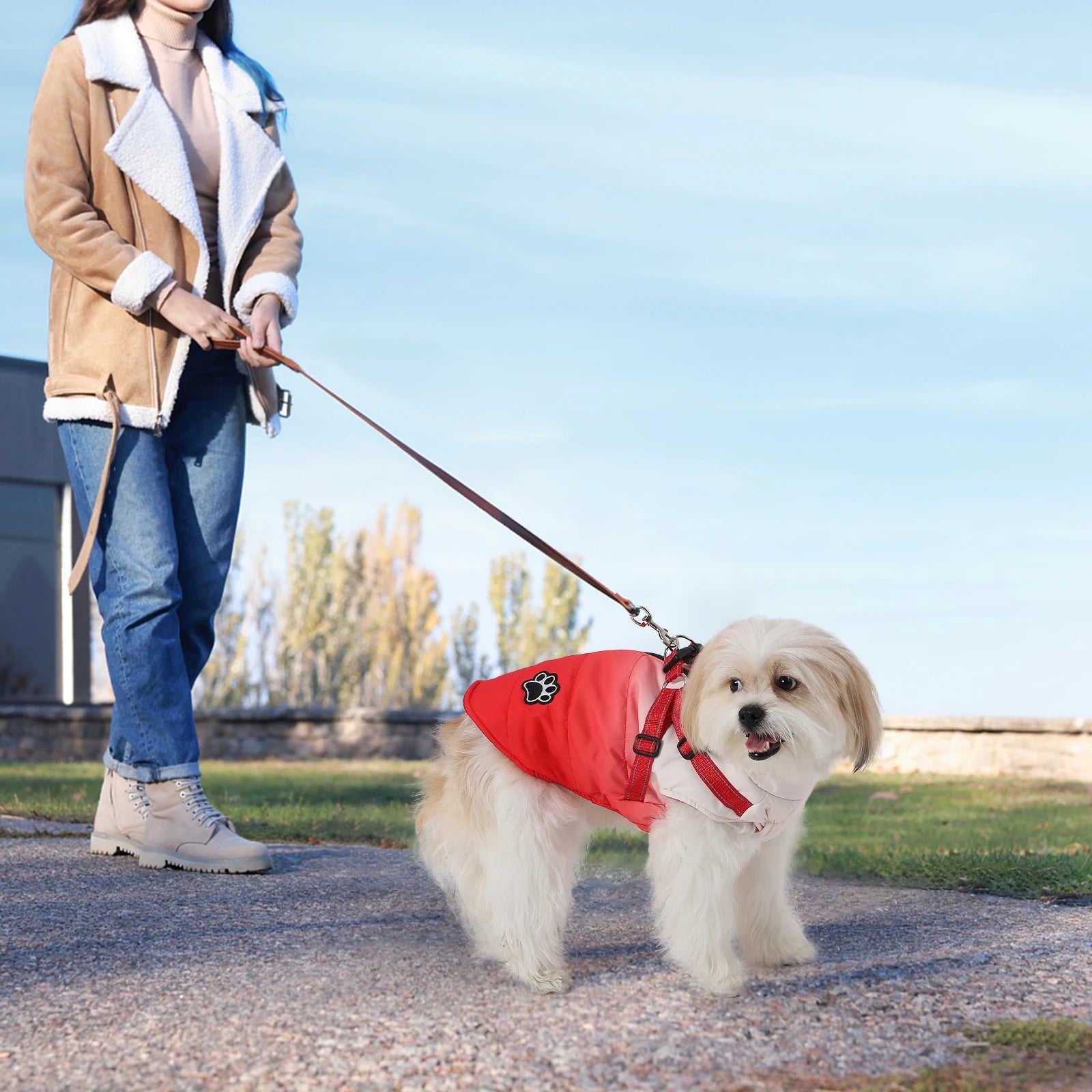 Dog Jacket Accessories: Winter Warm, Reflective, Windproof Harness With Back Zipper / Rungear