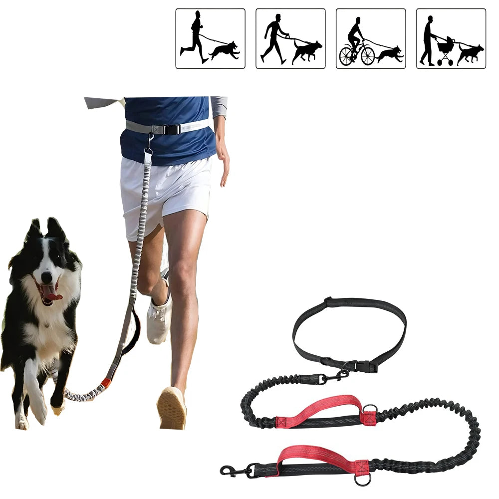 Dog Gear Accessories: Reflective, Hands Free, Retractable Belt Dog Leash with Adjustable Waist Rope For Outdoor Running / Rungear