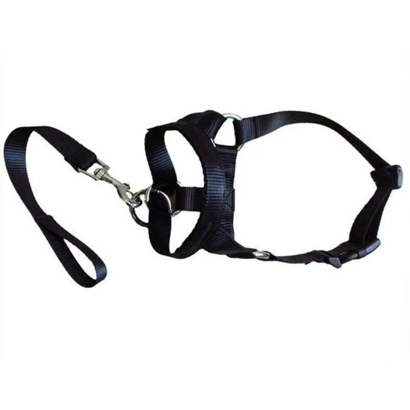Running Dog Accessories: Adjustable Classic Muzzle Training Halter, Dog Collar With Dog Leash / Rungear