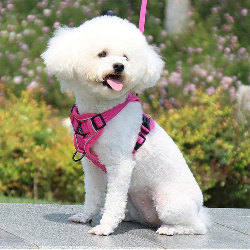 Dog Halter Accessories: Adjustable, Reflective, No Pull Dog Harness Vest and Leash Set for Small Dogs / Rungear