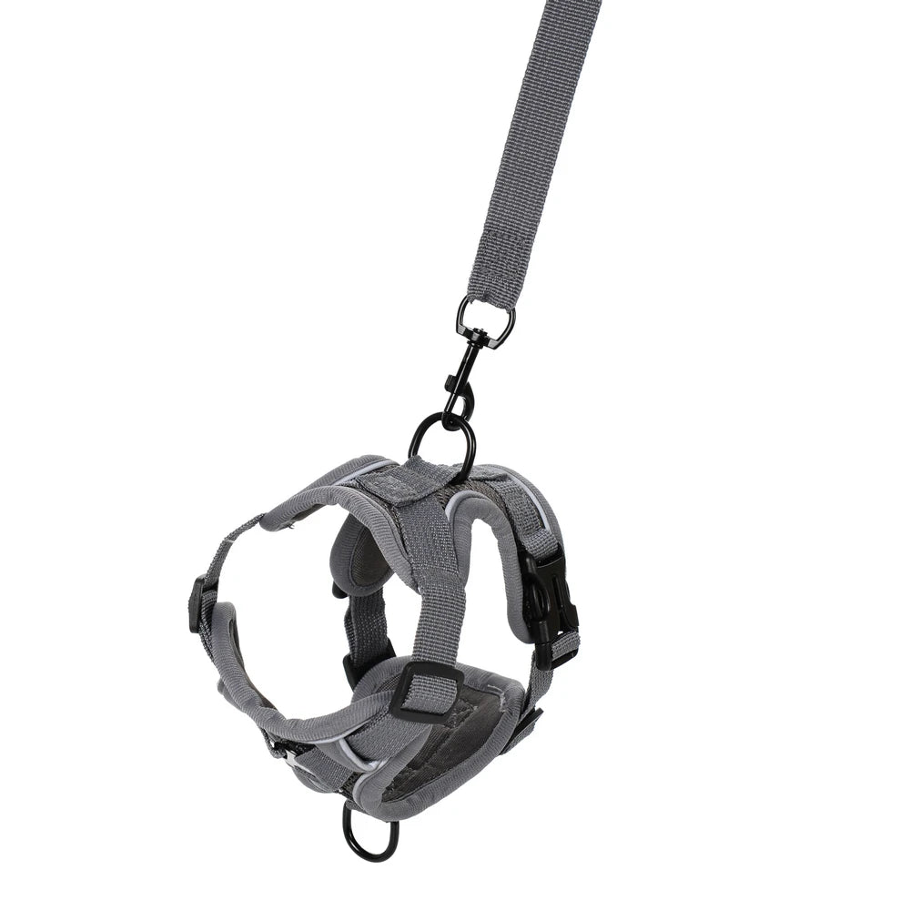 Reflective Running Dog Gear: Adjustable Harness Vest And Leash Set For Small To Medium Dogs / Rungear NZ