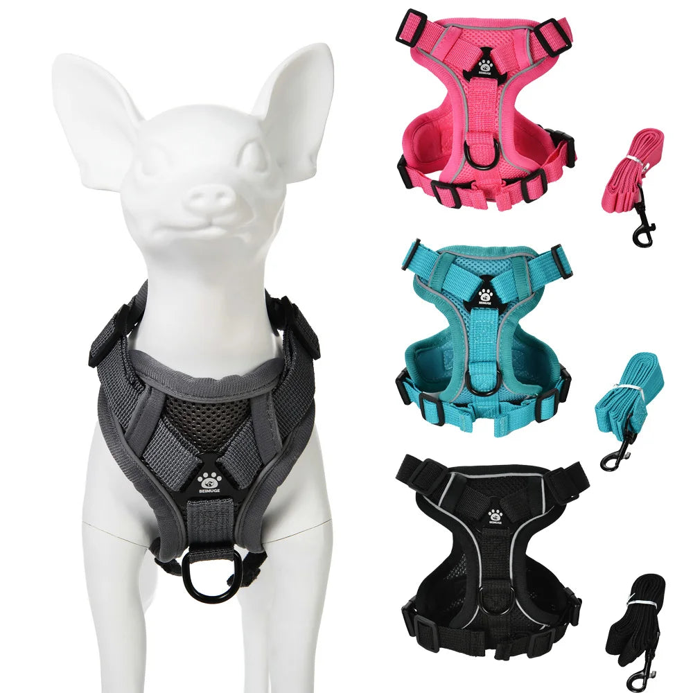 Reflective Running Dog Gear: Adjustable Harness Vest And Leash Set For Small To Medium Dogs / Rungear NZ