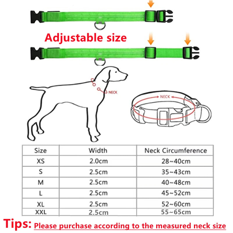 Pet Safety Gear: USB, Adjustable LED Rechargeable Safety Collar For Large Small Dogs / Rungear