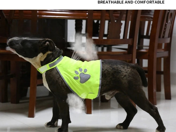 Reflective Dog Gear: Breathable, Safety Outdoor Walking Running Vests For Small, Medium, Large Dogs / Rungear