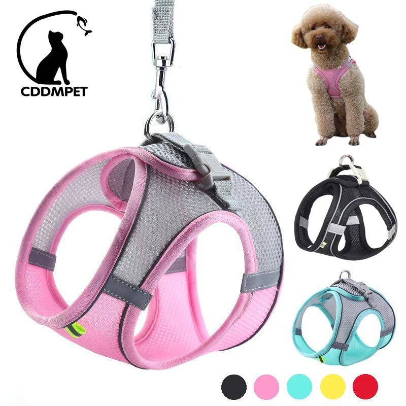 Adjustable Dog Harness Leash Set for Small Dogs