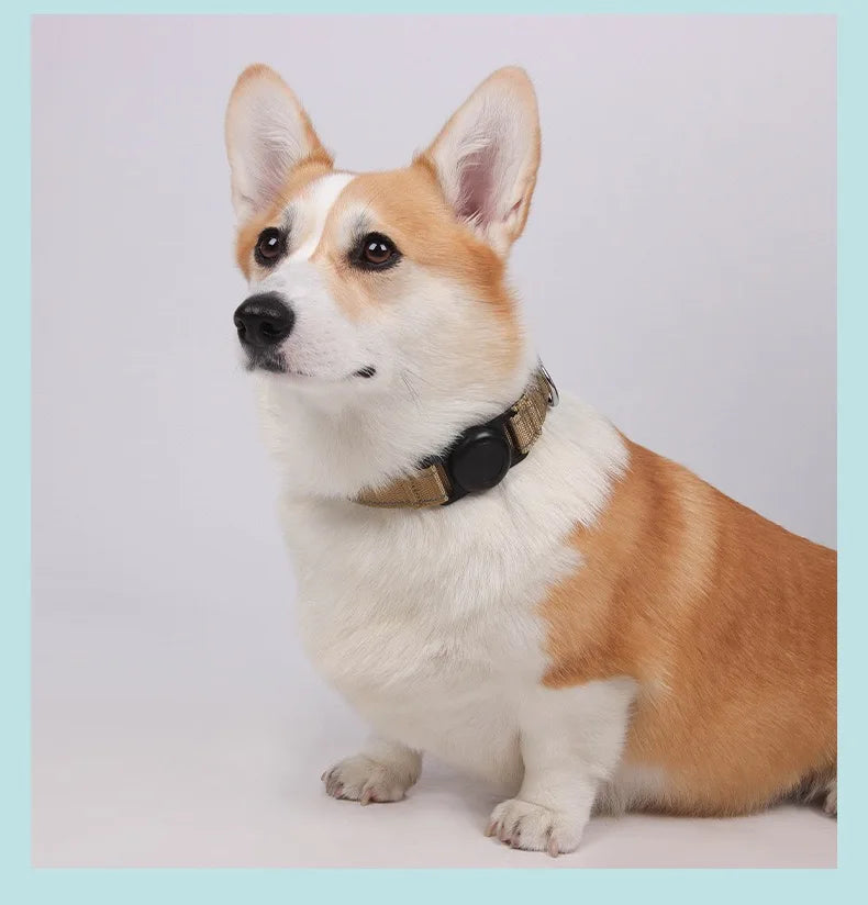 Reflective Adjustable AirTag Pet Collar with Buckle for Medium Dogs