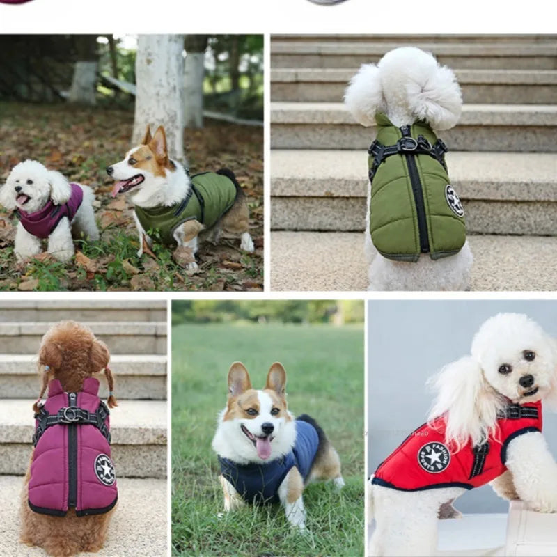Winter Dog Jackets: Warm, Waterproof Dog Jacket Vest with Harness for Small, Medium Dogs / Rungear